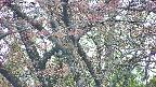takano4-20250502052057.jpg
