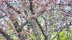 takano4-20250502065056.jpg