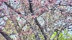 takano4-20250502070056.jpg