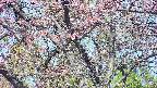 takano4-20250502075057.jpg
