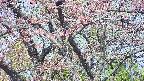 takano4-20250502081058.jpg