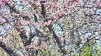 takano4-20250502082057.jpg