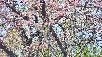 takano4-20250502084058.jpg