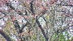 takano4-20250502091059.jpg