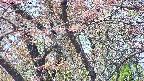 takano4-20250502095057.jpg