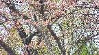 takano4-20250502110058.jpg