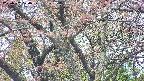 takano4-20250502120058.jpg