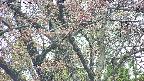 takano4-20250502122059.jpg