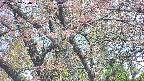 takano4-20250502124058.jpg