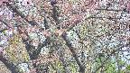 takano4-20250502131059.jpg