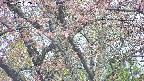 takano4-20250502132059.jpg