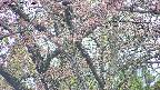 takano4-20250502134058.jpg
