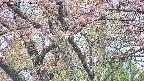 takano4-20250502135059.jpg