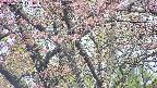 takano4-20250502141058.jpg