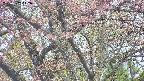 takano4-20250502142057.jpg