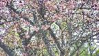 takano4-20250502150056.jpg