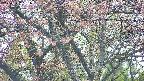 takano4-20250502151056.jpg