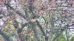 takano4-20250502152056.jpg