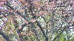 takano4-20250502155059.jpg