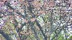 takano4-20250502160059.jpg