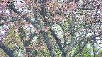 takano4-20250502162058.jpg