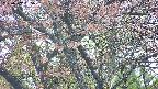 takano4-20250502165100.jpg