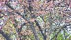takano4-20250502172059.jpg