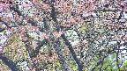 takano4-20250502175059.jpg