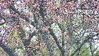 takano4-20250502181058.jpg