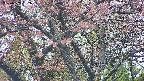 takano4-20250502182058.jpg