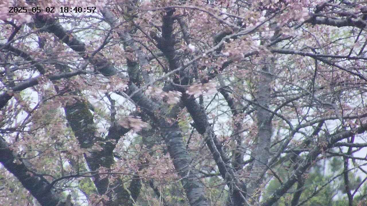 takano4-20250502184058.jpg