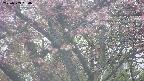 takano4-20250503050054.jpg