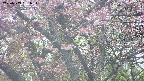 takano4-20250503051055.jpg