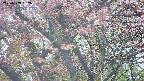 takano4-20250503052056.jpg