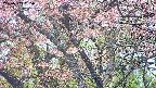takano4-20250503055057.jpg