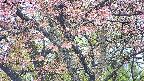 takano4-20250503061057.jpg