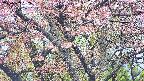 takano4-20250503062057.jpg