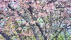 takano4-20250503063056.jpg