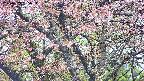 takano4-20250503065055.jpg