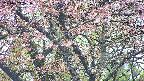 takano4-20250503071057.jpg