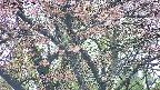 takano4-20250503072057.jpg