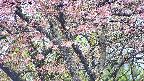 takano4-20250503073057.jpg