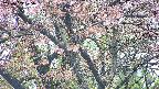 takano4-20250503075057.jpg