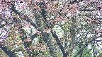 takano4-20250503080056.jpg