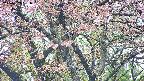 takano4-20250503081057.jpg
