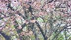 takano4-20250503082056.jpg