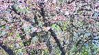 takano4-20250503083058.jpg