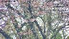 takano4-20250503084057.jpg