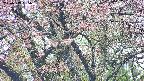 takano4-20250503085057.jpg