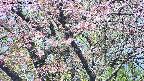 takano4-20250503090057.jpg
